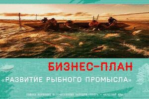 Составление бизнес-планов на гранты, субсидии — Масленников Павел Николаевич