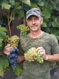 Багров Олег Алексеевич — помощник по дому (Белгород)