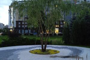 Пересадка \