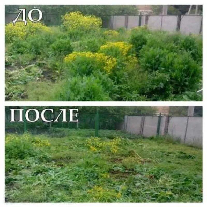 Купил заросший участок. Уборка участка до и после. расчистка участков до и после. заросший участок до и после. уборка дачного участка до после.