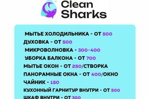 Портфолио №2 — Clean Sharks