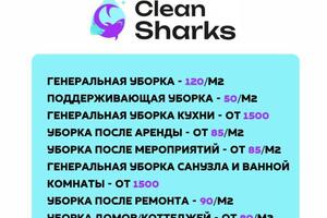 Портфолио №3 — Clean Sharks