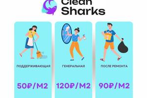 Портфолио №5 — Clean Sharks