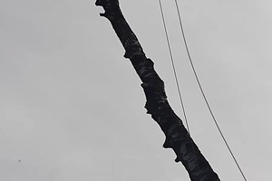 Портфолио №14 — Альпатекс