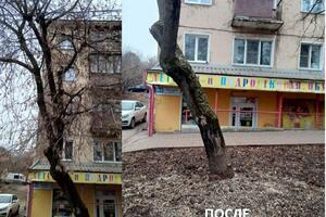Портфолио №9 — Пень