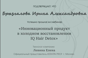 Диплом / сертификат №2 — Брызгалова Ирина Александровна