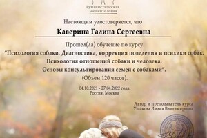 Диплом / сертификат №6 — Каверина Галина Сергеевна