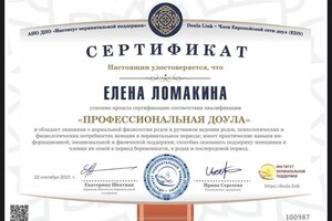 Диплом / сертификат №1 — Ломакина Елена Андреевна