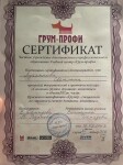 Диплом / сертификат №2 — Лукьянова Светлана Юрьевна