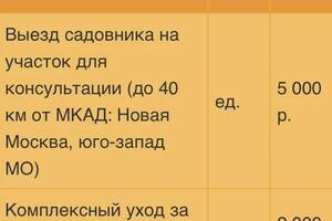 Консультация по уходу за садом — Лурье Виталий Николаевич