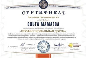 Диплом / сертификат №5 — Мамаева Ольга Борисовна