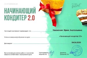 Диплом / сертификат №3 — Наконечная Ирина Анатольевна