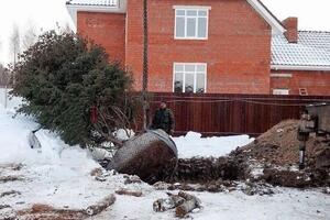 Посадка крупномеров — Нежельский Сергей Сергеевич