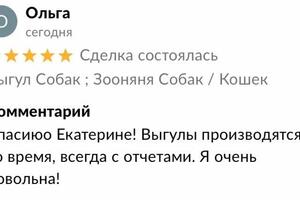 Отзыв на Авито.; Выгул собаки. — Прозорова Екатерина Владимировна