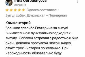 Отзыв на Авито.; Выгул собаки. — Прозорова Екатерина Владимировна