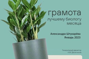 Диплом / сертификат №4 — Штукарева Александра Юрьевна