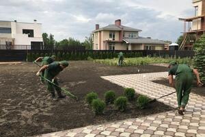 Посевной газон — Смольянинов Глеб Евгеньевич