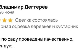 Диплом / сертификат №2 — Ткаченко Дарья Анатольевна