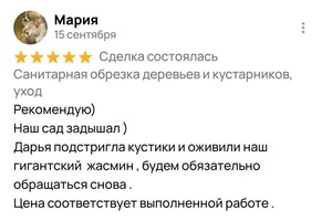 Диплом / сертификат №6 — Ткаченко Дарья Анатольевна