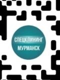 СпецКлининг — домработница (Мурманск)