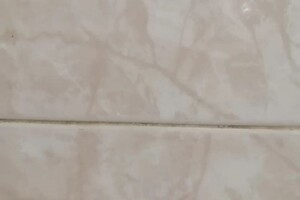 Воронина Александра Викторовна — Портфолио №2