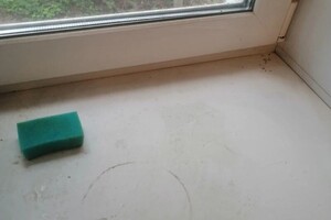 Воронина Александра Викторовна — Портфолио №4