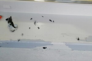 Воронина Александра Викторовна — Портфолио №8