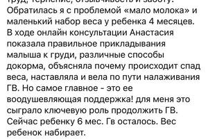 Консультация по грудному вскармливанию и сопровождение онлайн. Разница во времени с женщиной +9 часов — Муравьева Анастасия Фёдоровна