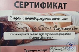 Диплом / сертификат №6 — Писарева Елена Владимировна