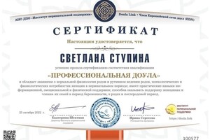 Диплом / сертификат №1 — Ступина Светлана Николаевна