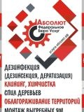 Абсолют — домработница (Новосибирск)