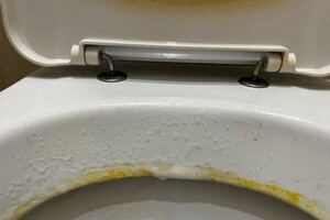 Бакчина Татьяна Андреевна — Портфолио №4