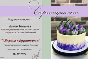 Диплом / сертификат №2 — Белисова Ксения Игоревна