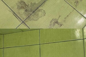 Белкова Анастасия Сергеевна — Портфолио №3