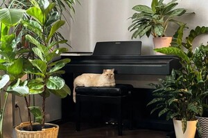 Бондарчук Олеся Николаевна — Портфолио №2