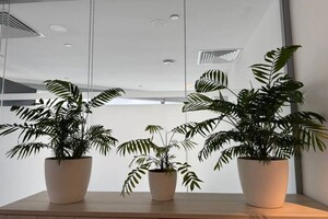 Бондарчук Олеся Николаевна — Портфолио №6