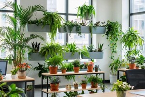 Бондарчук Олеся Николаевна — Портфолио №7