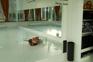 Чернышкова Ольга Витальевна — Уборка студии танцев — Портфолио №10