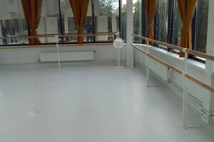 Чернышкова Ольга Витальевна — Уборка студии танцев — Портфолио №12