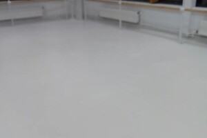 Чернышкова Ольга Витальевна — Уборка студии танцев — Портфолио №19