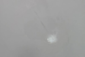 Чернышкова Ольга Витальевна — Уборка студии танцев — Портфолио №20