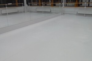 Чернышкова Ольга Витальевна — Уборка студии танцев — Портфолио №22