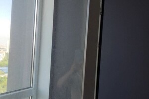 Чернышкова Ольга Витальевна — Портфолио №23