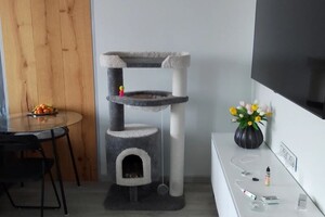 Чернышкова Ольга Витальевна — Портфолио №30