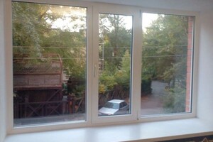 Чернышкова Ольга Витальевна — Сезонное мытье окон — Портфолио №55