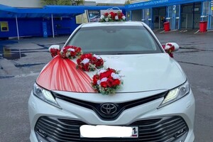 Игорь Ефремович — Портфолио №7