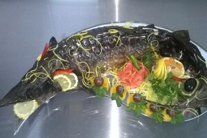 Куркин Александр Владиславович — Бестер фаршированный — Портфолио №3