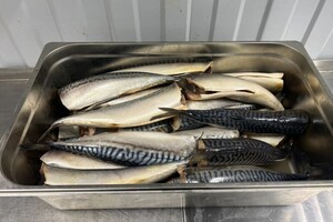 Овсянников Евгений Борисович — Портфолио №3