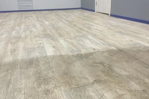 Сорокина Ксения Васильевна — Тотальная очистка загрязнений с линолеума, вручную, с применением агрессивных моющих средств и ручной очистки. — Портфолио №1