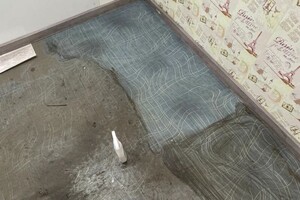 Сорокина Ксения Васильевна — Портфолио №4